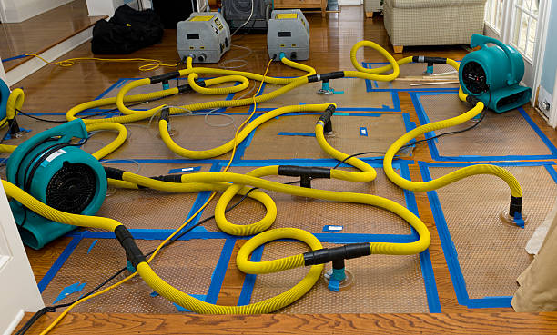 Professional Sewage Cleanup technician working in Palatine, IL